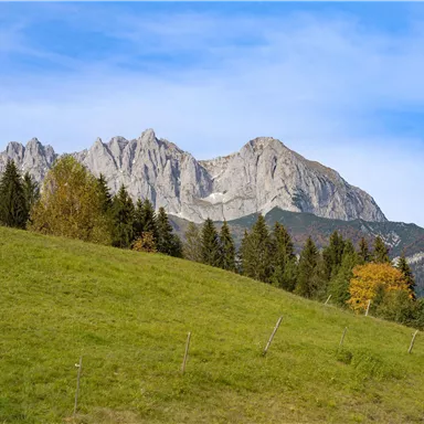 Eine malerische Berglandschaft mit hohen Gipfeln und saftigem, grünem Gras im Vordergrund. Der Himmel ist klar und strahlend blau.