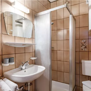 Ein modernes Badezimmer mit einer Dusche, Waschbecken und WC. Die Wände sind mit braunen Fliesen verkleidet und es gibt eine große Spiegelablage.