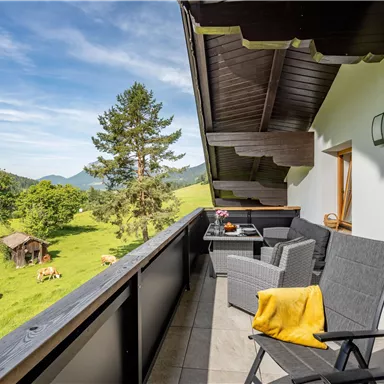 A balcony with cozy chairs and a blanket, offering a beautiful view of the green meadow and animals. In the background, trees and mountains are visible.