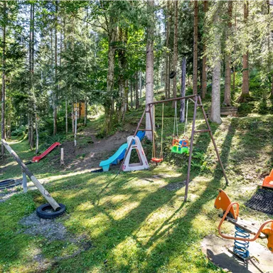 A playground in the woods with various play equipment such as swings and slides. The area is surrounded by tall trees and has a green meadow.