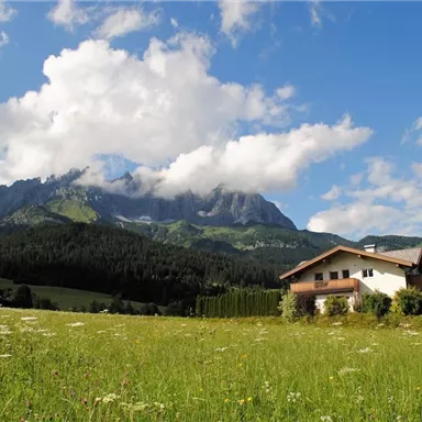 Eine ruhige Landhauslandschaft mit Bergen im Hintergrund. Der Himmel ist blau mit einigen Wolken und die Wiese ist grün und blühend.