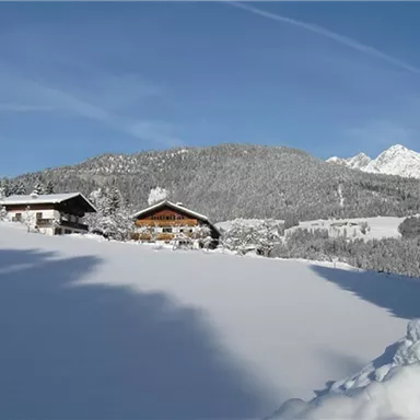 Eine malerische Winterlandschaft mit schneebedeckten Hügeln und Weihnachtsbäumen. Im Hintergrund sind separate, charmante Hütten vor majestätischen Bergen zu sehen.