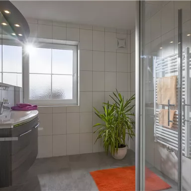 Ein modernes Badezimmer mit einer Dusche und einem großen Fenster. Eine grüne Pflanze und ein orangefarbener Teppich sorgen für einen einladenden Akzent.
