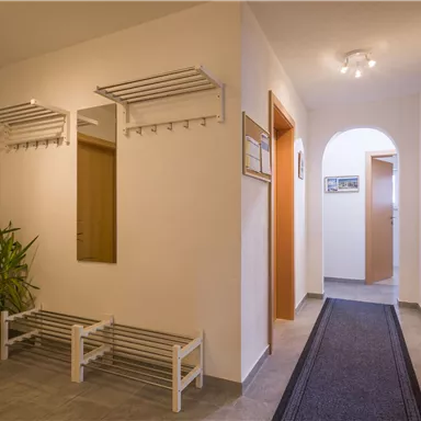 Ein heller Eingangsbereich mit einem Pflanzenkübel und einem Spiegel. An der Wand hängen Garderobenleisten, und ein Teppich führt zu einem weiteren Raum.