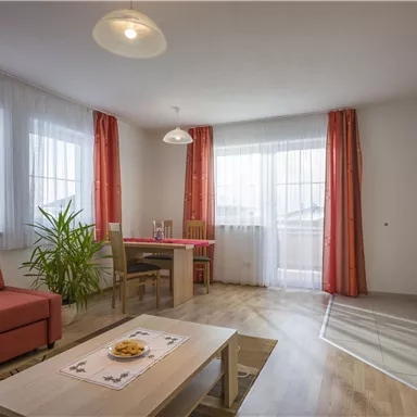 Ein modernes Wohnzimmer mit einem roten Sofa und einem Esstisch. Große Fenster lassen viel Licht herein und eine Pflanze sorgt für eine gemütliche Atmosphäre.