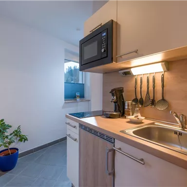 Eine moderne Küche mit einem Spülbecken, einer Mikrowelle und Küchenutensilien. In der Ecke steht ein kleiner Pflanze in einem blauen Topf.