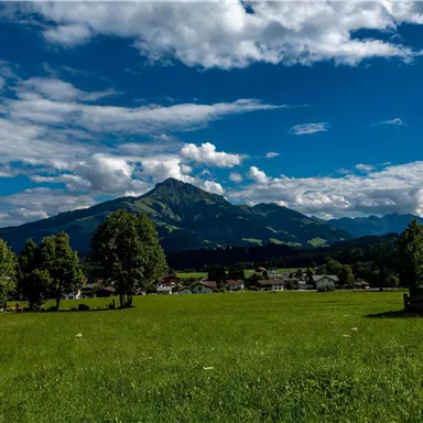Eine malerische Landschaft mit einem hohen Berg im Hintergrund und saftigem, grünem Gras. Weiß-blau gefleckte Wolken schweben am strahlend blauen Himmel.