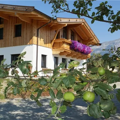 An old wooden house with a balcony full of flowers and green apples in the foreground. The sky is clear and the surroundings are rural.