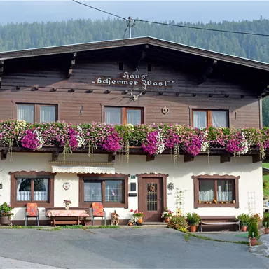 A traditional wooden house with a blooming balcony. The surroundings are green and mountainous, creating an idyllic atmosphere.