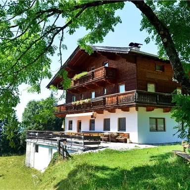Ein gemütliches Holzhaus mit Balkon, umgeben von grünen Bäumen. Der Garten bietet Platz zum Entspannen im Freien.