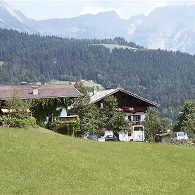 A picturesque landscape painting with two traditional farmhouses surrounded by meadows and mountains. The surroundings are green and the mountain backdrop is breathtaking.