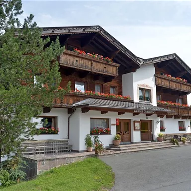 A charming alpine house with wooden balustrades and blooming flowers on the balconies. Surrounded by green landscape and trees.