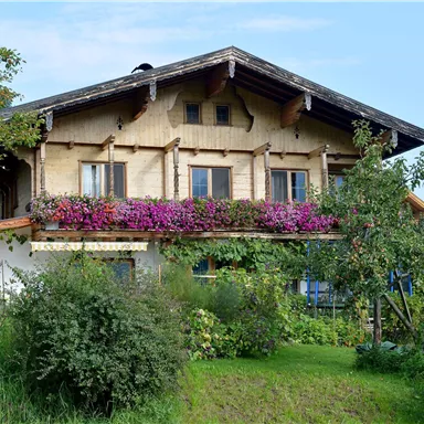 Ein traditionelles Haus mit einem Balkon, der mit bunten Blumen geschmückt ist. Umgeben von grünen Pflanzen und Bäumen an einem klaren Himmel.