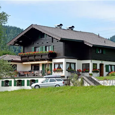 Ein schönes, traditionelles Haus mit einem schwarzen Holzdesign und bunten Blumenkästen. Es steht in einer grünen Wiese, umgeben von Bäumen und Bergen.