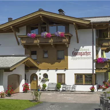 A beautiful Alpine house with blooming balcony flowers. The facade is friendly and inviting, surrounded by a green landscape.
