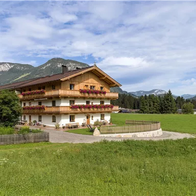 A traditional wooden house in a green landscape with mountains in the background. The surroundings are peaceful and welcoming, ideal for a stay in nature.