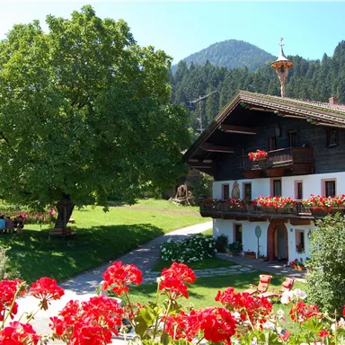 A picturesque alpine house surrounded by colorful flowers. In the background, gentle mountains and a clear sky can be seen.