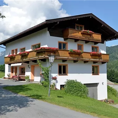 A traditional house in Alpine style with wooden cladding and flower boxes. It is situated in a green landscape with mountains in the background.