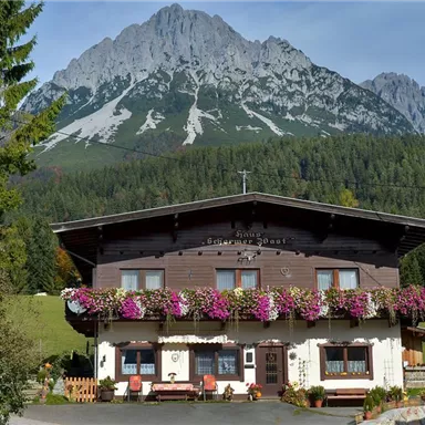 A traditional alpine house with colorful flowers at the windows. In the background, majestic mountains rise up under a clear sky.