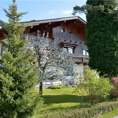Ein charmantes Haus umgeben von Bäumen und bunten Blumen. Im Hintergrund sind Hügel und ein klarer Himmel sichtbar.