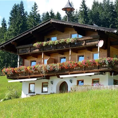 Ein charmantes Holzhaus mit blühenden Balkonkästen in einer grünen Landschaft. Umgeben von Bäumen und Wiesen strahlt es ländlichen Charme aus.