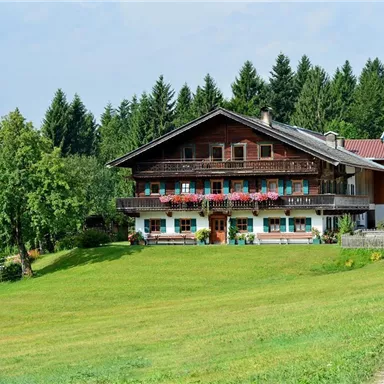 Ein traditionelles Holzhaus in einer grünen Landschaft. Umgeben von Bäumen und Wiesen unter einem klaren Himmel.