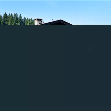 Ein charmantes Haus im Alpenstil, umgeben von grünen Wiesen und Bäumen. Auf der Fassade blühen farbige Blumen und die Sonne scheint.