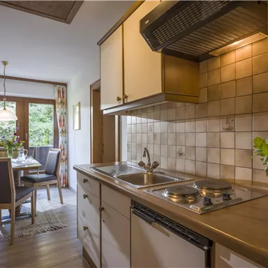 Eine moderne Küche mit einem Kochfeld und einigen Pflanzen. Im Hintergrund ist ein Essbereich mit einem Tisch und Stühlen zu sehen.