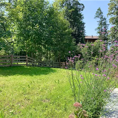 Ein schöner Garten mit grünem Gras und bunten Blumen. Im Hintergrund sind Bäume und ein Holzzaun zu sehen.