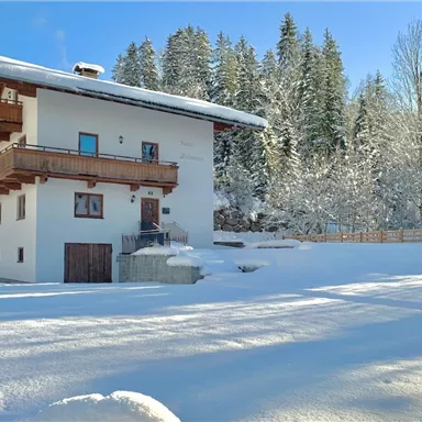A charming house in the snow, surrounded by tall trees. The sky is clear and blue, creating a wintry atmosphere.