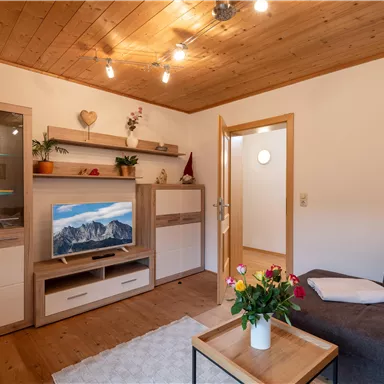 Ein gemütlicher Wohnzimmer mit einer modernen TV-Anlage und einer bequemen Couch. Der Raum hat Holzverkleidung und bietet eine freundliche Atmosphäre.