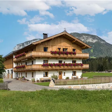 A charming alpine house with wooden cladding and colorful flowers on the balcony. In the background, gentle mountains stretch under a blue sky.