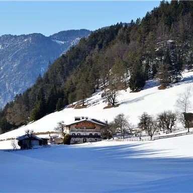 Eine winterliche Landschaft mit einem Haus auf einer verschneiten Wiese. Im Hintergrund sind schneebedeckte Berge und Nadelbäume zu sehen.
