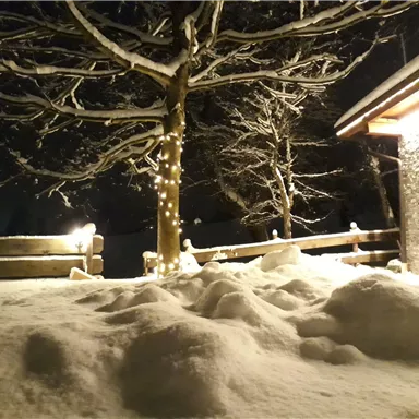 Eine verschneite Landschaft bei Nacht mit einem beleuchteten Baum. Im Hintergrund ist ein Gebäude zu sehen.