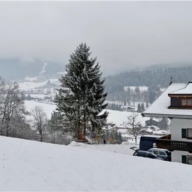 Eine schneebedeckte Landschaft mit einem gemütlichen Haus und einem hohen Baum. Im Hintergrund sind sanfte Hügel und ein bewölkter Himmel sichtbar.