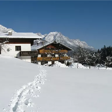 Eine malerische Winterlandschaft mit einem Chalet und schneebedeckten Wiesen. Im Hintergrund sind beeindruckende Berge und ein klarer blauer Himmel zu sehen.