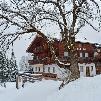 Ein gemütliches Holzhaus im Schnee, umgeben von schneebedeckten Bäumen. Die winterliche Landschaft strahlt Ruhe und Idylle aus.