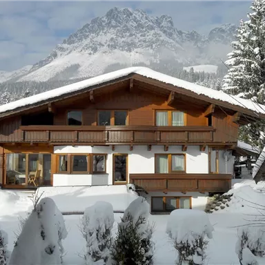A cozy wooden house in the snow, surrounded by snow-covered trees. In the background, majestic mountains rise under a clear sky.
