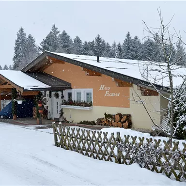 A cozy house in a snowy landscape. Trees in the background and a white fence enhance the winter atmosphere.