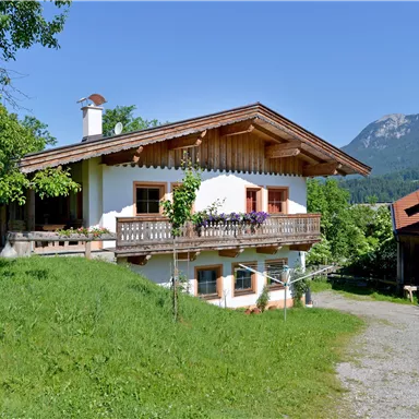 Ein hübsches Haus im alpinen Stil, umgeben von grünem Gras und Bäumen. Im Hintergrund sind Berge sichtbar und der Himmel ist blau.