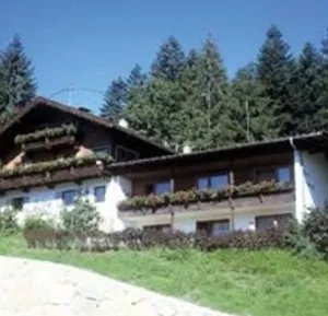 Ein gemütliches Haus in den Bergen, umgeben von grünen Bäumen. Die Balkone sind mit Blumen dekoriert und fügen sich harmonisch in die Landschaft ein.