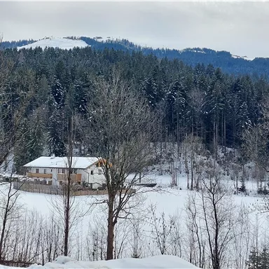 A beautiful snow landscape with a white house and snow-covered trees. In the background, wooded mountains can be seen.