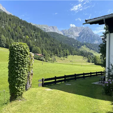 A beautiful landscape with green meadows and mountains in the background. In the foreground, there is a house and a garden with bushes.
