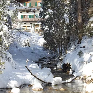 Ein malerisches Winterlandschaft mit einem verschneiten Bach und einem Holzhaus im Hintergrund. Die Szene ist von hohen Bäumen umgeben, die mit Schnee bedeckt sind.