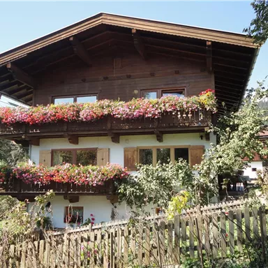 A picturesque wooden house with colorful flower boxes on the balcony. Surrounded by trees and a green landscape.