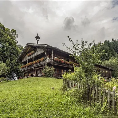Ein traditionelles Holzhaus inmitten einer grünen Wiese. Im Hintergrund sind Bäume und sanfte Hügel zu sehen.