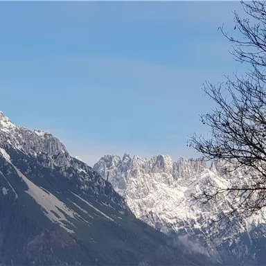 An impressive mountain panorama with snow-capped peaks and a clear sky. In the foreground, a tree without leaves is visible.