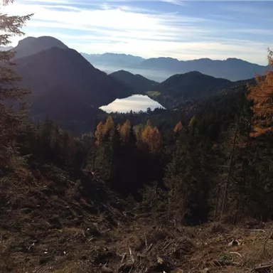 Eine malerische Landschaft mit Bergen und einem ruhigen See im Hintergrund. Die Bäume zeigen herbstliche Farben unter einem klaren Himmel.