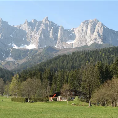 Eine beeindruckende Berglandschaft mit schroffen Gipfeln und grünen Wäldern. Im Vordergrund ist eine Wiese mit einem kleinen Haus zu sehen.