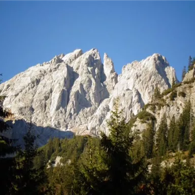 A majestic mountain landscape with impressive rock formations and green conifers in the foreground. The clear blue sky complements the majestic scenery.